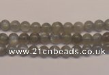 CMS300 15.5 inches 5mm round natural grey moonstone beads wholesale