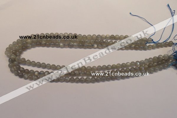 CMS300 15.5 inches 5mm round natural grey moonstone beads wholesale