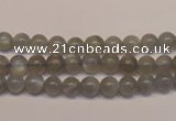 CMS301 15.5 inches 6mm round natural grey moonstone beads wholesale