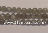 CMS302 15.5 inches 7mm round natural grey moonstone beads wholesale