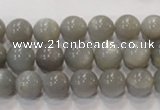 CMS305 15.5 inches 10mm round natural grey moonstone beads wholesale