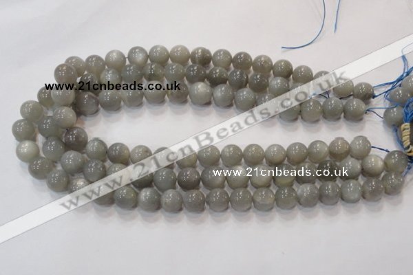 CMS307 15.5 inches 12mm round natural grey moonstone beads wholesale