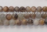 CMS310 15.5 inches 6mm round natural moonstone beads wholesale