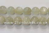 CMS311 15.5 inches 6mm round natural moonstone beads wholesale