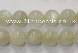 CMS313 15.5 inches 10mm round natural moonstone beads wholesale