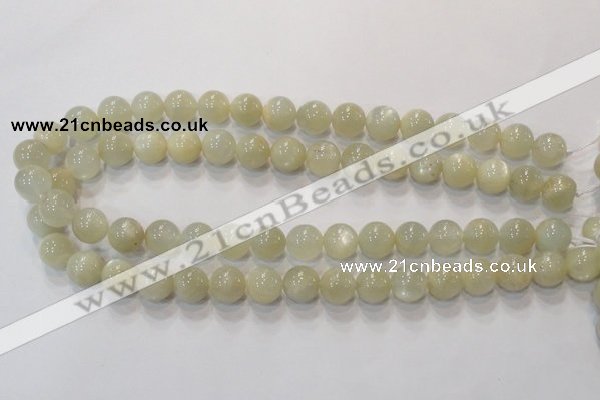 CMS313 15.5 inches 10mm round natural moonstone beads wholesale