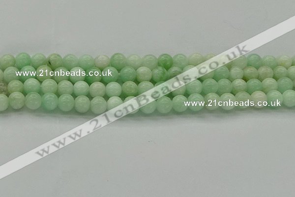 CMS411 15.5 inches 6mm round green moonstone beads wholesale