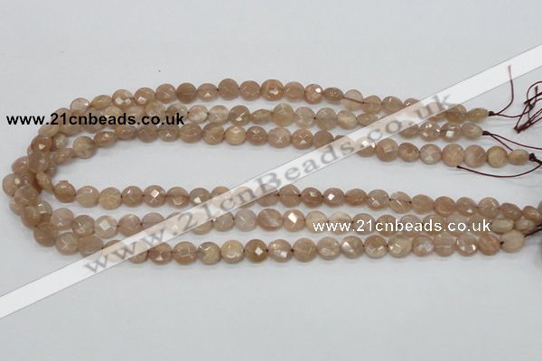 CMS43 15.5 inches 8mm faceted coin moonstone gemstone beads