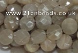 CMS44 15.5 inches 10mm faceted coin moonstone gemstone beads