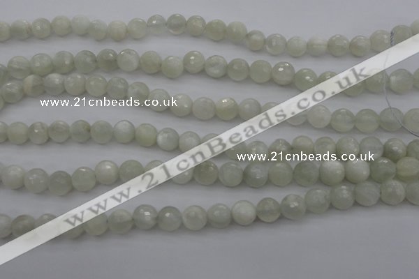 CMS453 15.5 inches 8mm faceted round white moonstone gemstone beads