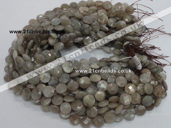 CMS46 15.5 inches 14mm faceted coin moonstone gemstone beads