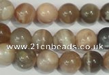 CMS504 15.5 inches 10mm round moonstone beads wholesale