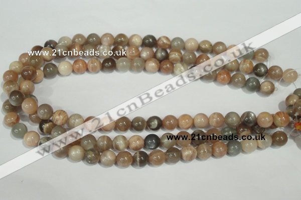 CMS504 15.5 inches 10mm round moonstone beads wholesale