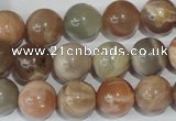 CMS505 15.5 inches 12mm round moonstone beads wholesale