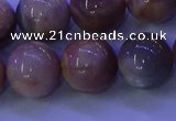 CMS506 15.5 inches 14mm round moonstone beads wholesale