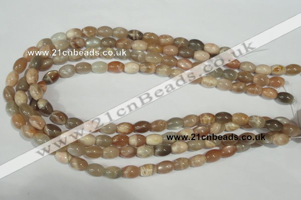 CMS511 15.5 inches 8*12mm rice moonstone beads wholesale