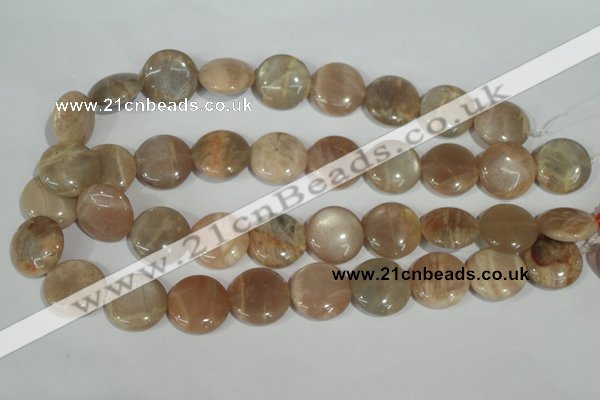 CMS525 15.5 inches 20mm flat round moonstone beads wholesale