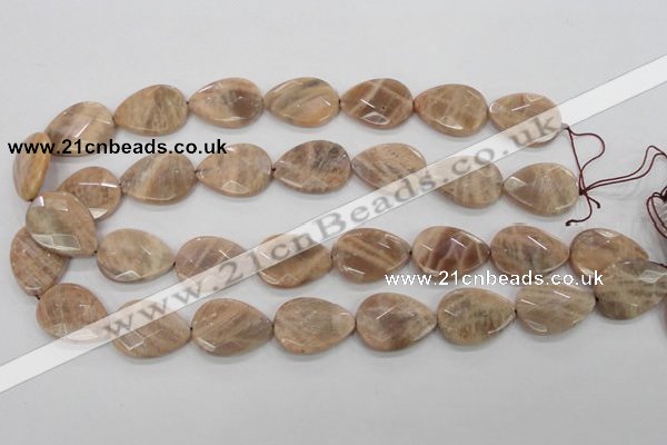 CMS55 15.5 inches 18*25mm faceted flat teardrop moonstone beads