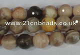 CMS572 15.5 inches 10mm faceted round moonstone beads wholesale