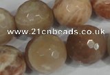 CMS577 15.5 inches 20mm faceted round moonstone beads wholesale