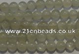 CMS651 15.5 inches 6mm round grey moonstone beads wholesale