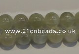 CMS653 15.5 inches 10mm round grey moonstone beads wholesale