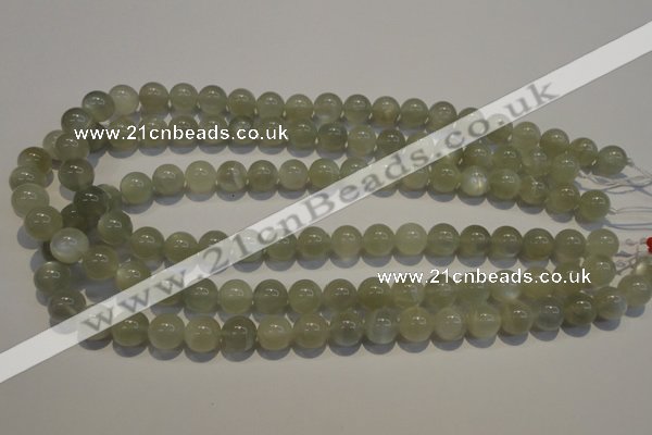 CMS653 15.5 inches 10mm round grey moonstone beads wholesale