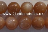 CMS736 15.5 inches 16mm round A grade natural peach moonstone beads