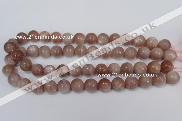 CMS756 15.5 inches 14mm round natural moonstone beads wholesale