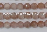 CMS764 15.5 inches 8mm faceted round natural moonstone beads