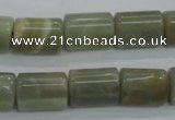 CMS78 15.5 inches faceted column 10*14mm moonstone gemstone beads