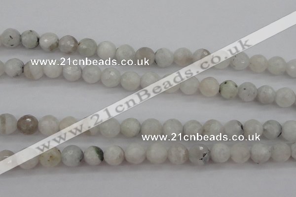 CMS802 15.5 inches 8mm faceted round white moonstone beads