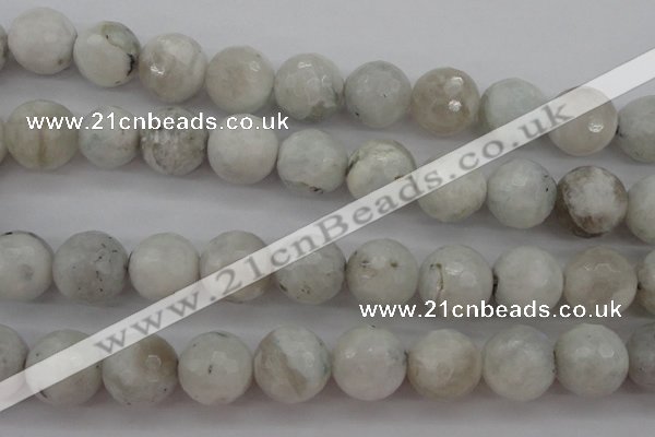 CMS805 15.5 inches 14mm faceted round white moonstone beads