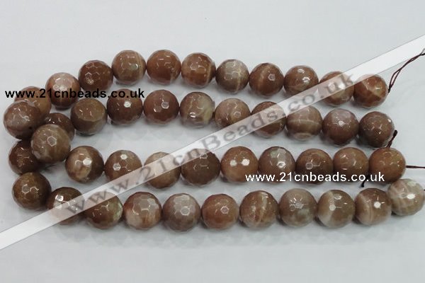 CMS82 15.5 inches 18mm faceted round moonstone gemstone beads