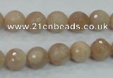 CMS84 15.5 inches 10mm faceted round moonstone gemstone beads