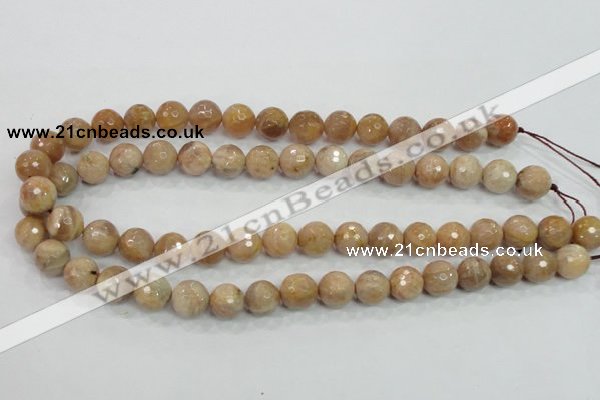 CMS85 15.5 inches 12mm faceted round moonstone gemstone beads