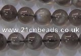 CMS852 15.5 inches 8mm round natural black moonstone beads