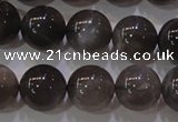 CMS853 15.5 inches 10mm round natural black moonstone beads