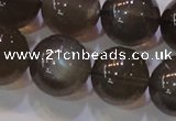 CMS855 15.5 inches 14mm round natural black moonstone beads