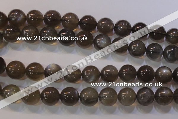 CMS855 15.5 inches 14mm round natural black moonstone beads