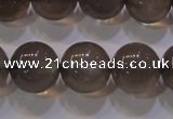 CMS860 15.5 inches 10mm round A grade natural black moonstone beads