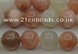 CMS891 15.5 inches 6mm round moonstone gemstone beads wholesale