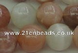 CMS895 15.5 inches 14mm round moonstone gemstone beads wholesale