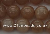 CMS933 15.5 inches 10mm round A grade moonstone gemstone beads