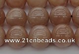 CMS934 15.5 inches 12mm round A grade moonstone gemstone beads