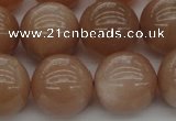 CMS935 15.5 inches 14mm round A grade moonstone gemstone beads