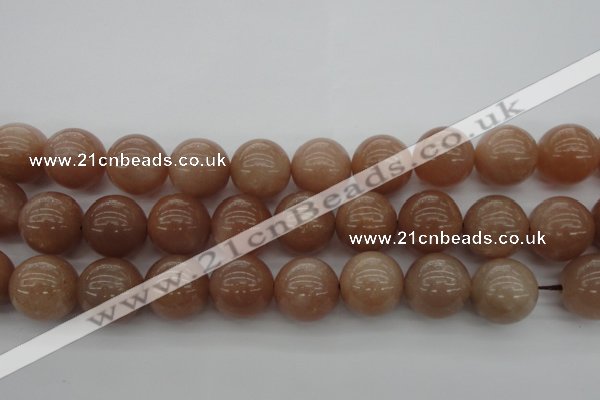 CMS936 15.5 inches 16mm round A grade moonstone gemstone beads