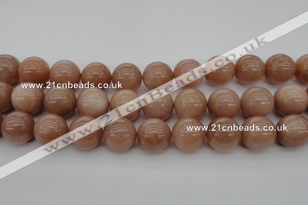 CMS937 15.5 inches 18mm round A grade moonstone gemstone beads