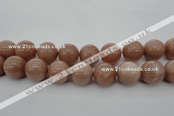 CMS938 15.5 inches 20mm round A grade moonstone gemstone beads