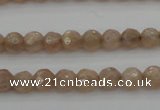 CMS940 15.5 inches 4mm faceted round A grade moonstone gemstone beads